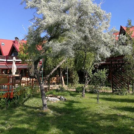 Pensiunea Casa Matei 호텔 Berca 외부 사진