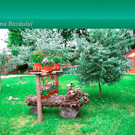Pensiunea Casa Matei 호텔 Berca 외부 사진