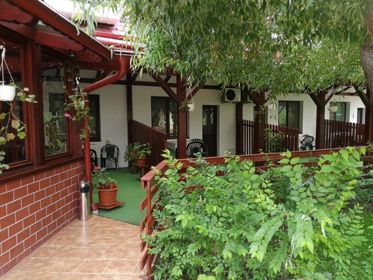 Pensiunea Casa Matei 호텔 Berca 외부 사진
