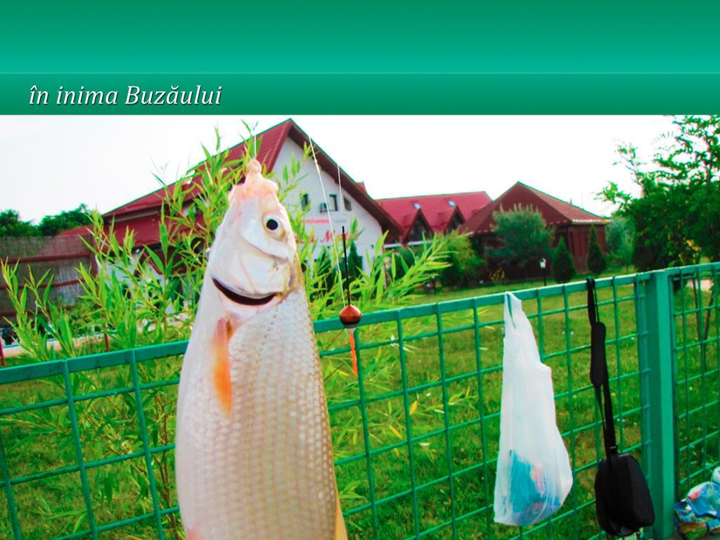 Pensiunea Casa Matei 호텔 Berca 외부 사진