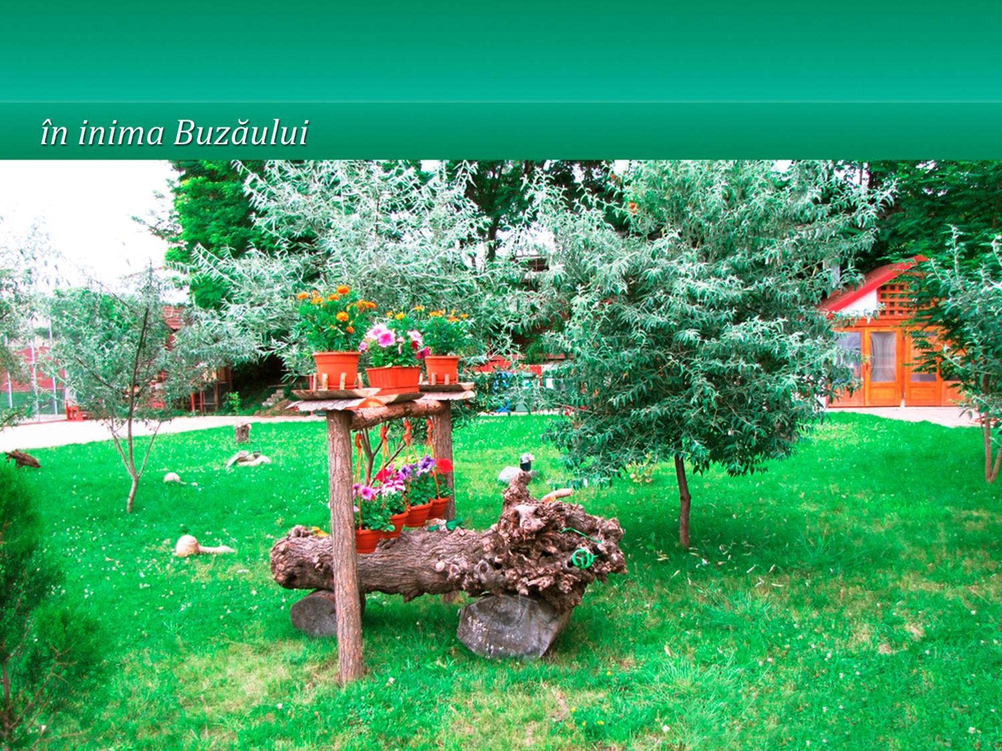 Pensiunea Casa Matei 호텔 Berca 외부 사진