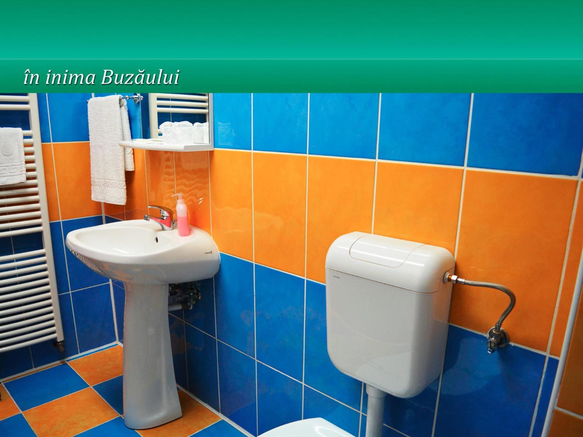 Pensiunea Casa Matei 호텔 Berca 외부 사진