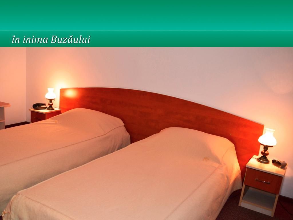 Pensiunea Casa Matei 호텔 Berca 객실 사진