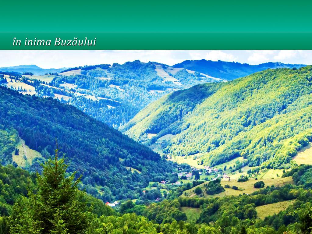 Pensiunea Casa Matei 호텔 Berca 외부 사진